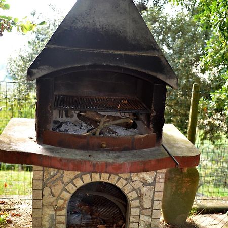 Agriturismo Podere Biancospino Piscina Privata Chianciano Terme Dış mekan fotoğraf